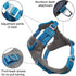 Kurgo Journey Air Dog Harness Blue Medium - Poudre Pet & Feed Supply 2